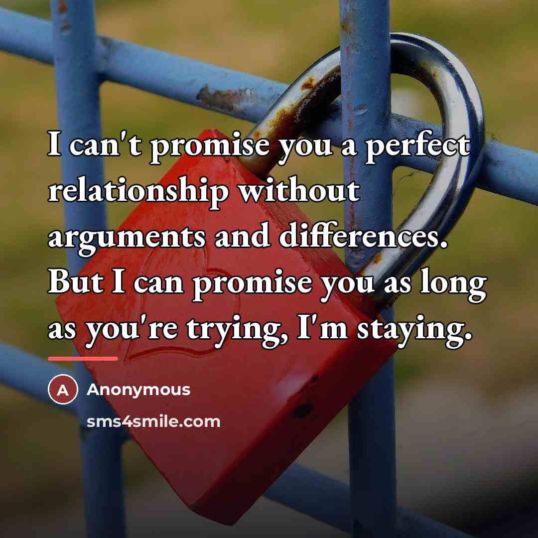 “I can't promise you a perfect relationship without arguments and…” quote by Anonymous