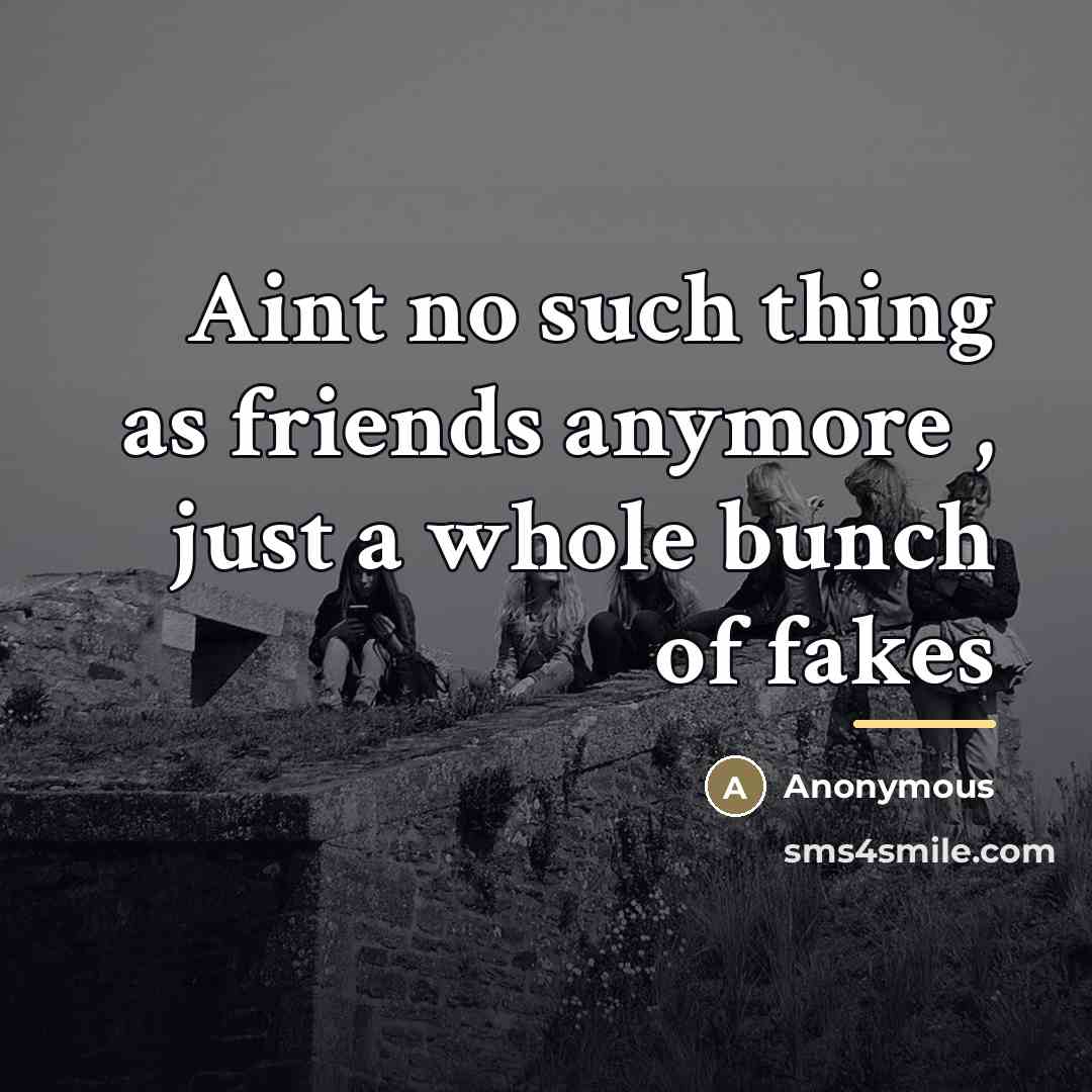“Aint no such thing as friends anymore , just a…” quote by Anonymous