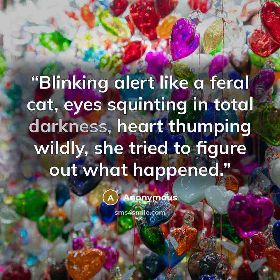 “Blinking alert like a feral cat, eyes squinting in total darkness, heart thumping wildly, she tried to figure out what happened.” quote by Anonymous