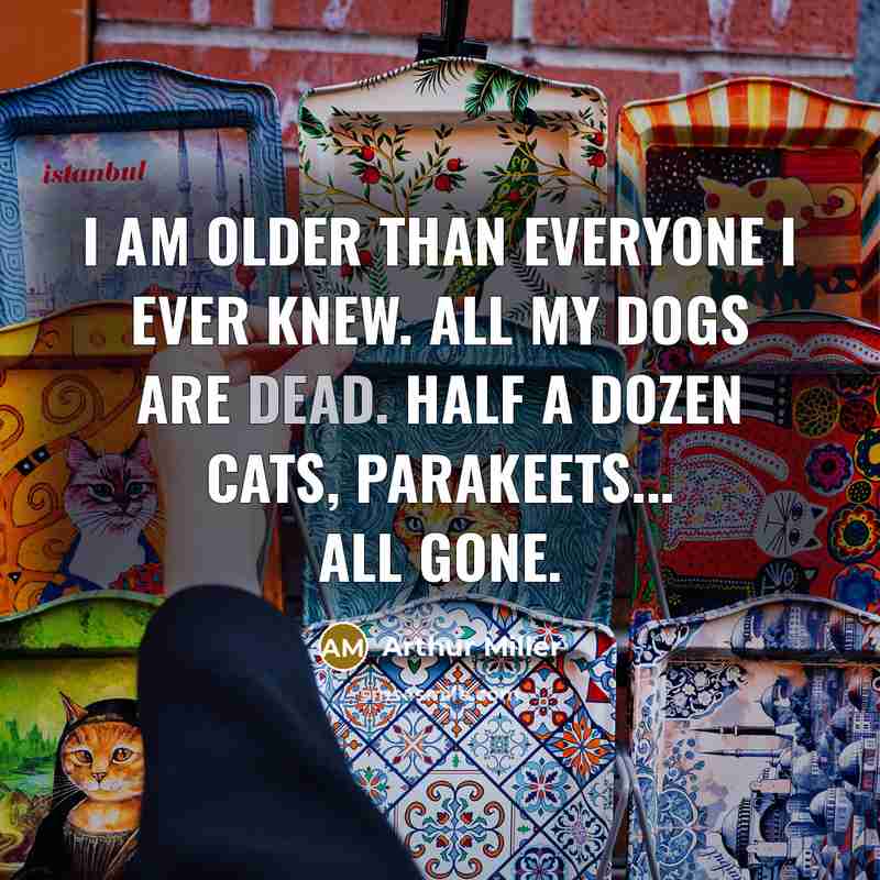 “I am older than everyone I ever knew. All my…” quote by Arthur Miller