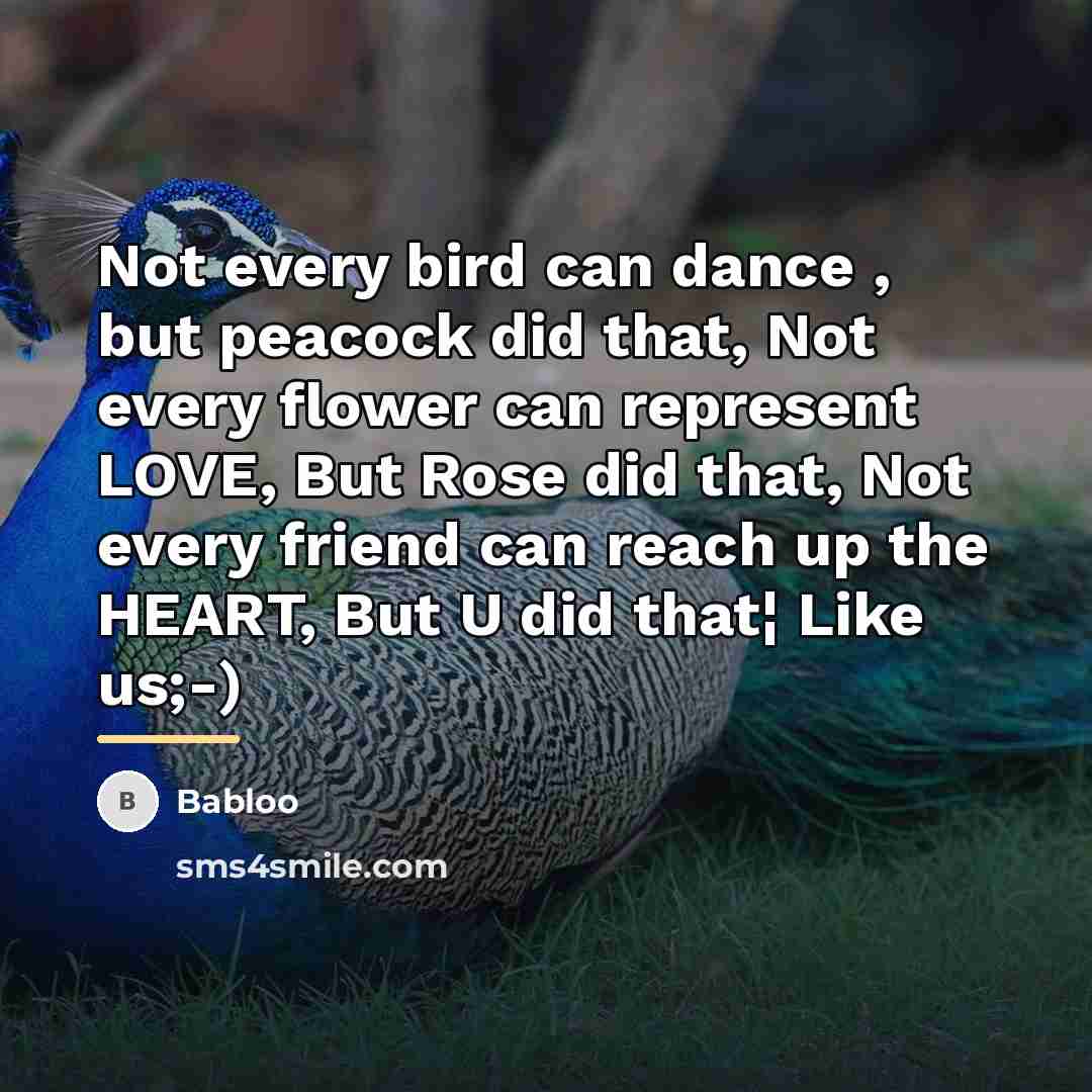 “Not every bird can dance , but peacock did that,…” quote by Babloo