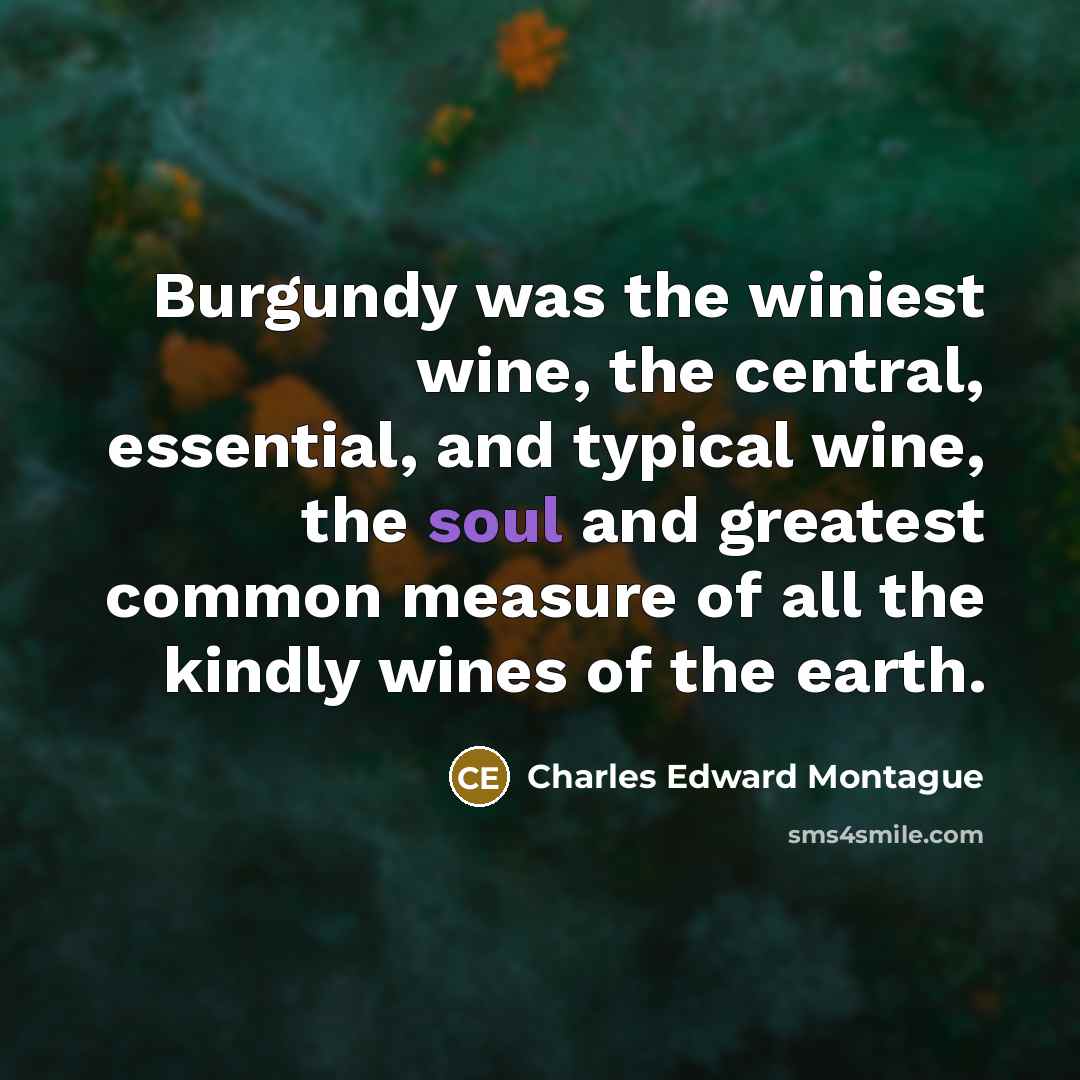 “Burgundy was the winiest wine, the central, essential, and typical…” quote by Charles Edward Montague