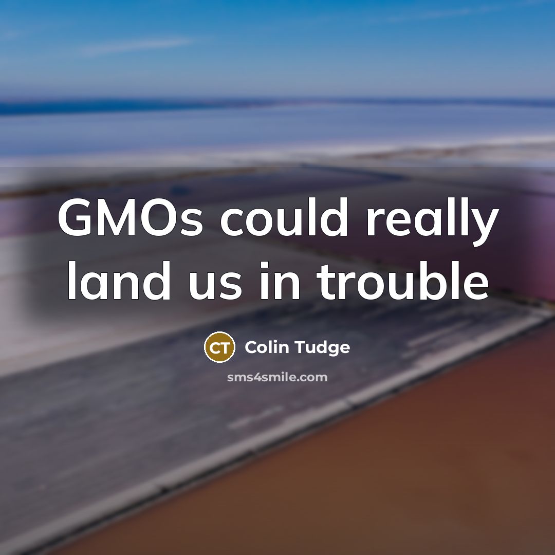 “GMOs could really land us in trouble…” quote by Colin Tudge