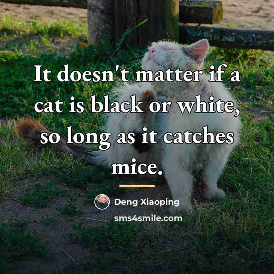 “It doesn't matter if a cat is black or white,…” quote by Deng Xiaoping