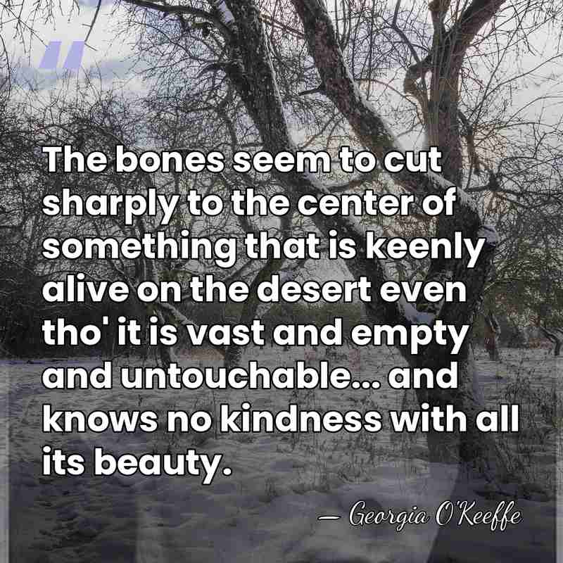 The bones seem to cut sharply to the center of something that&hellip; - Georgia O'Keeffe