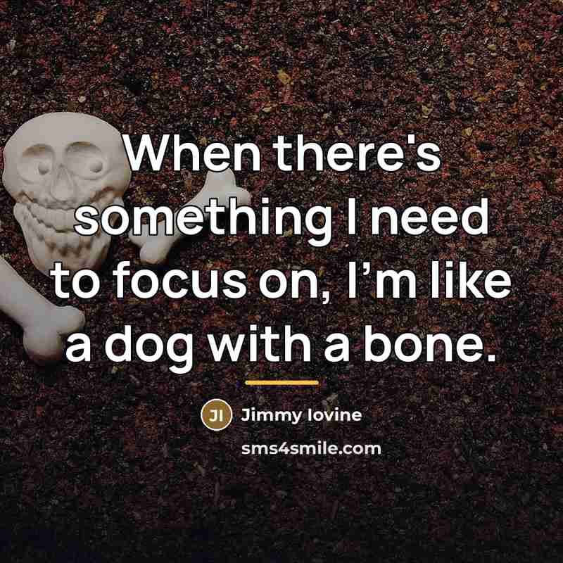 “When there's something I need to focus on, I'm like…” quote by Jimmy Iovine