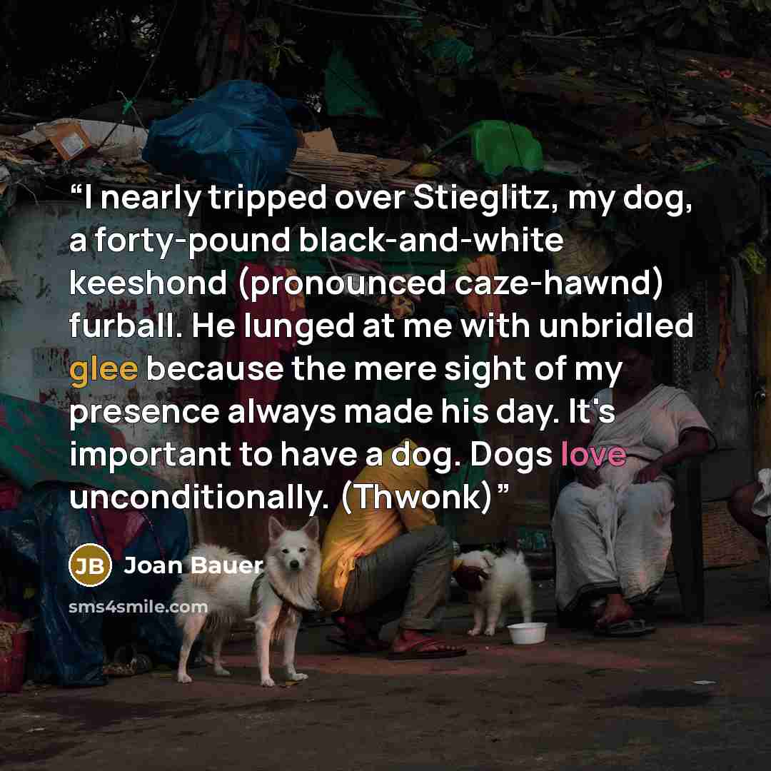 “I nearly tripped over Stieglitz, my dog, a forty-pound black-and-white keeshond (pronounced caze-hawnd) furball. He lunged at me with unbridled glee because the mere sight of my presence always made his day. It's important to have a dog. Dogs love unconditionally. (Thwonk)” quote by Joan Bauer