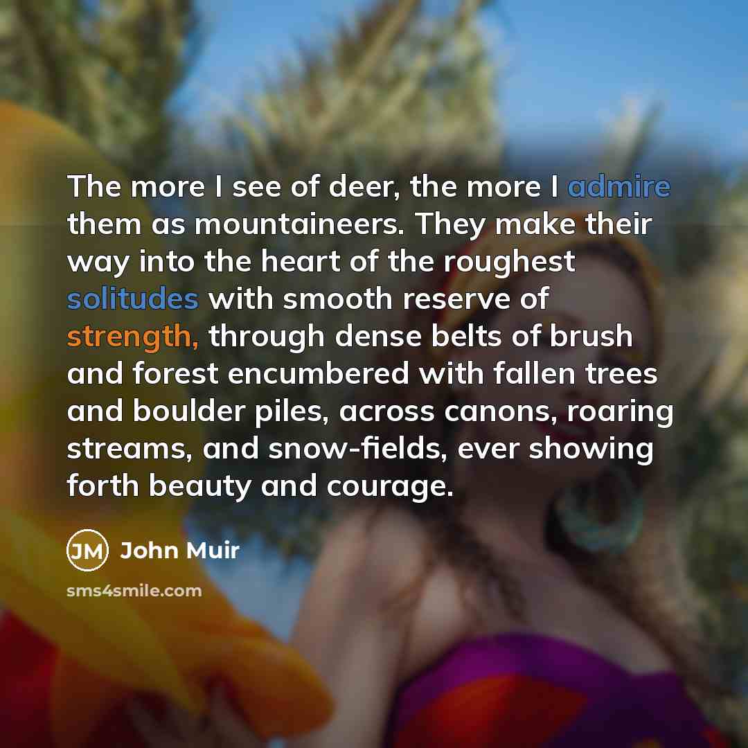 “The more I see of deer, the more I admire…” quote by John Muir