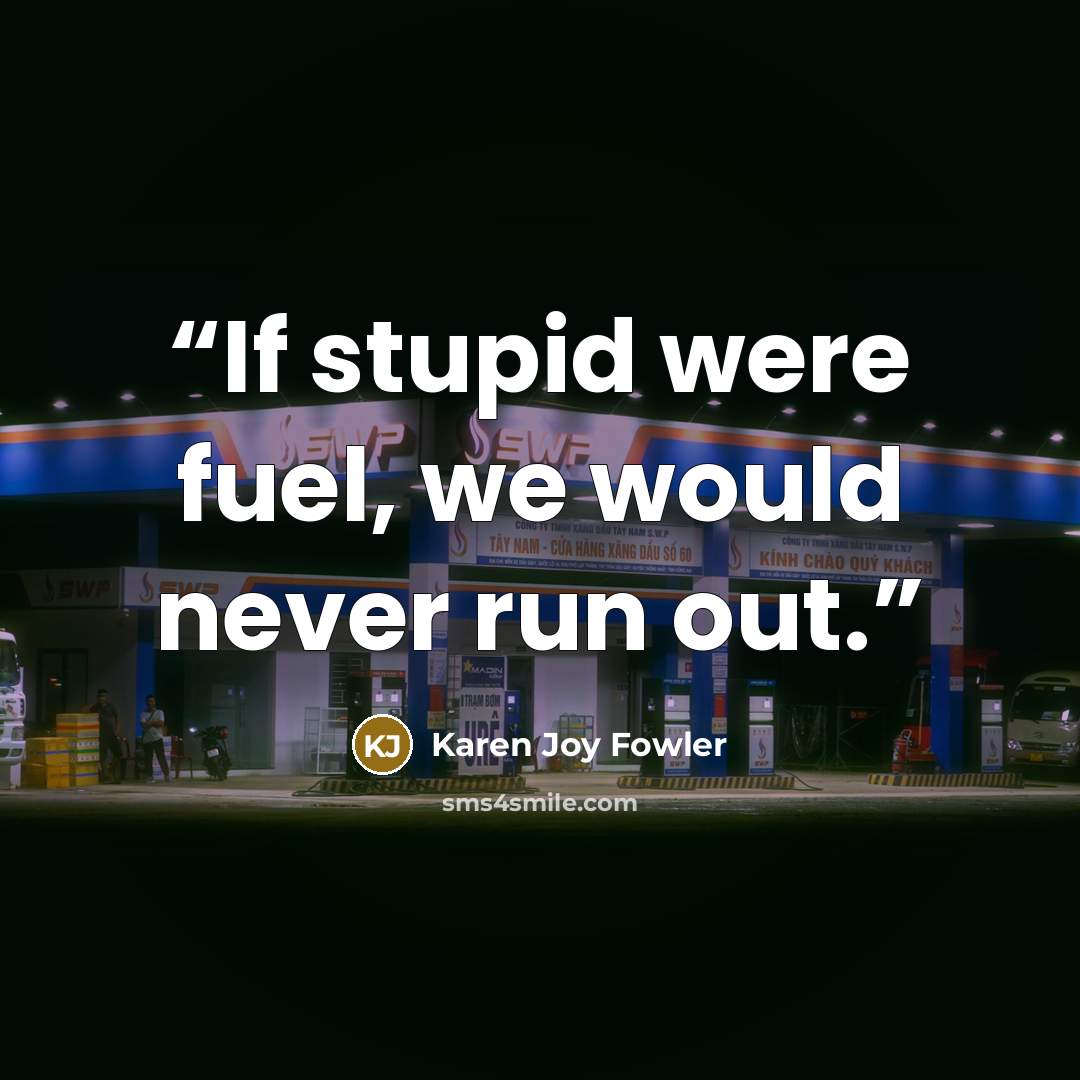 “If stupid were fuel, we would never run out.” quote by Karen Joy Fowler