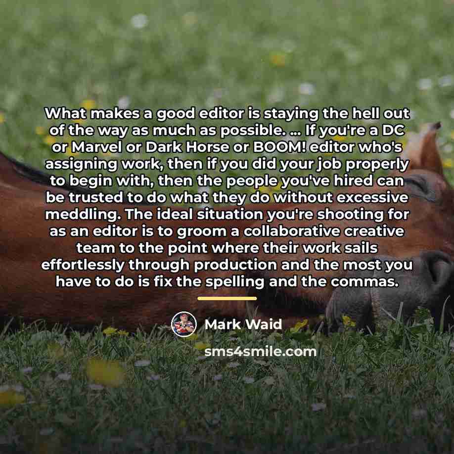 “What makes a good editor is staying the hell out…” quote by Mark Waid