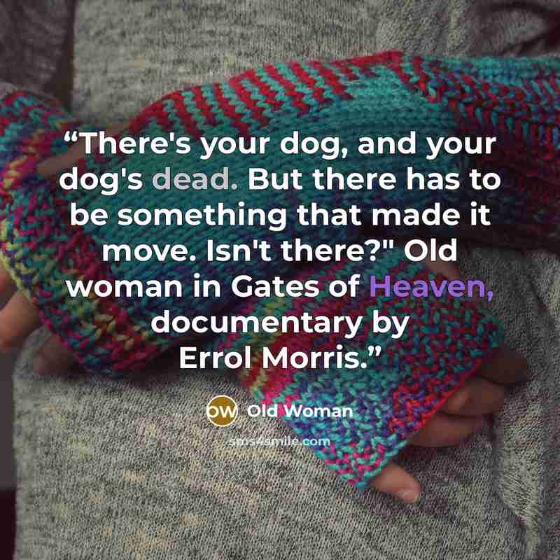 “There's your dog, and your dog's dead. But there has to be something that made it move. Isn't there?" Old woman in Gates of Heaven, documentary by Errol Morris.” quote by Old Woman