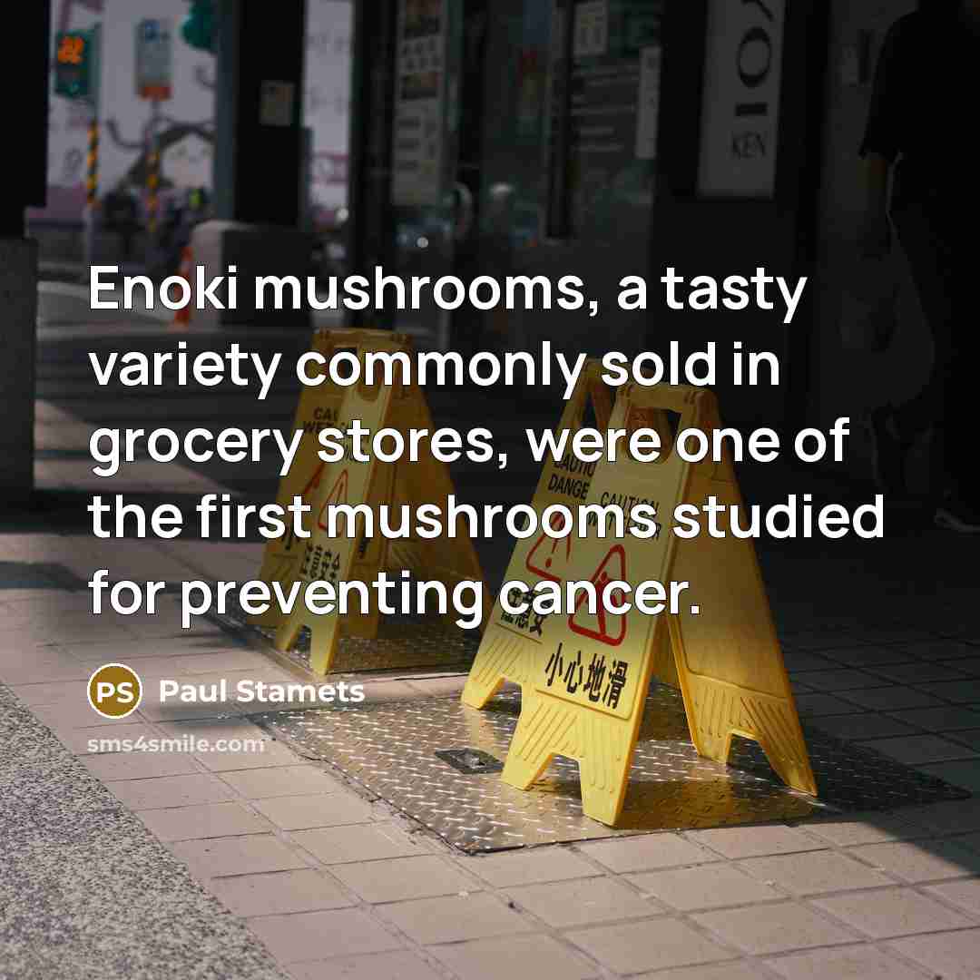 “Enoki mushrooms, a tasty variety commonly sold in grocery stores,…” quote by Paul Stamets