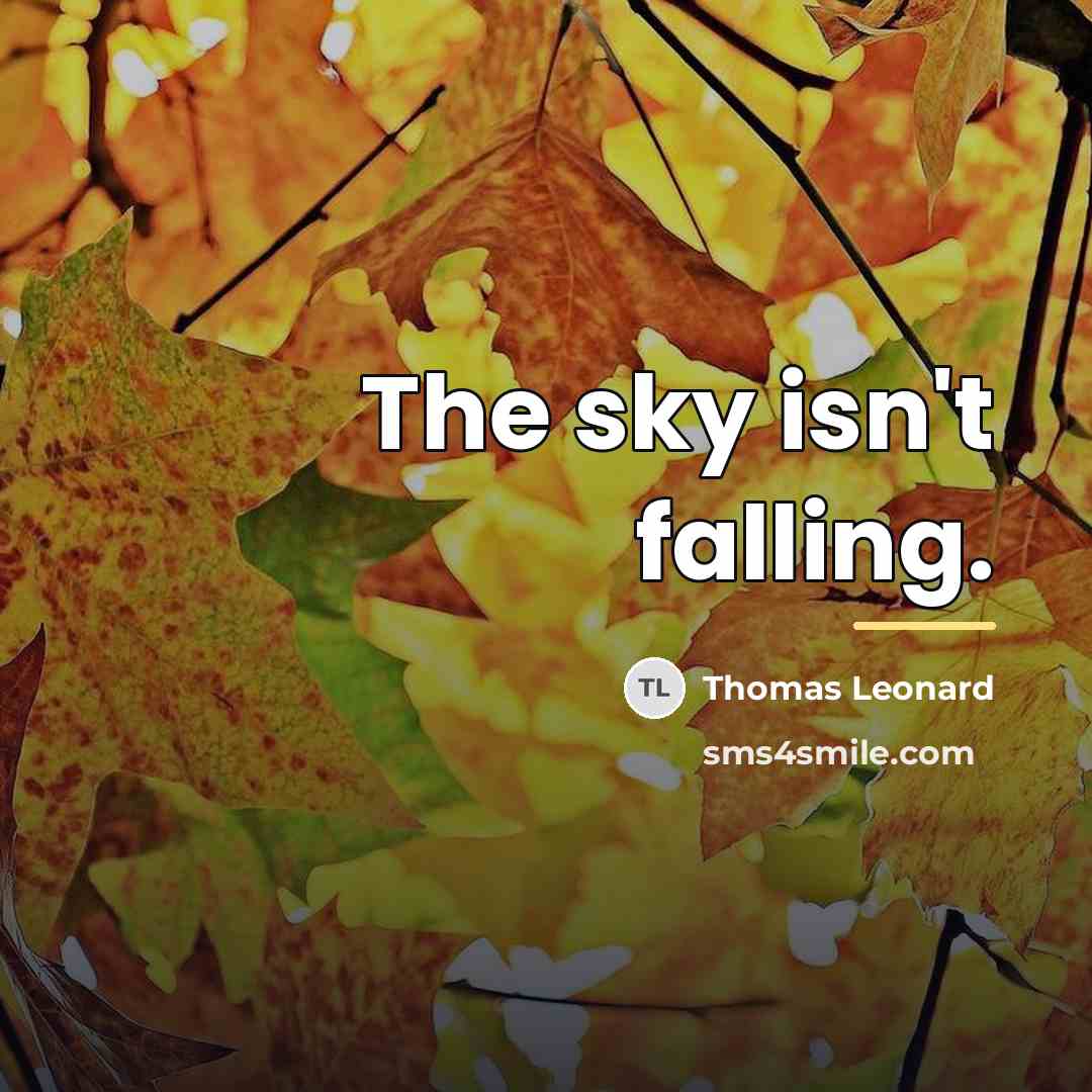 “The sky isn't falling.…” quote by Thomas Leonard