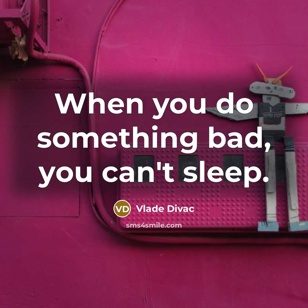 “When you do something bad, you can't sleep.…” quote by Vlade Divac