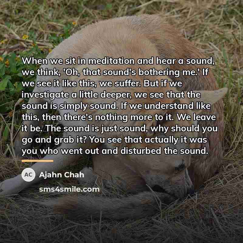 “When we sit in meditation and hear a sound, we…” quote by Ajahn Chah