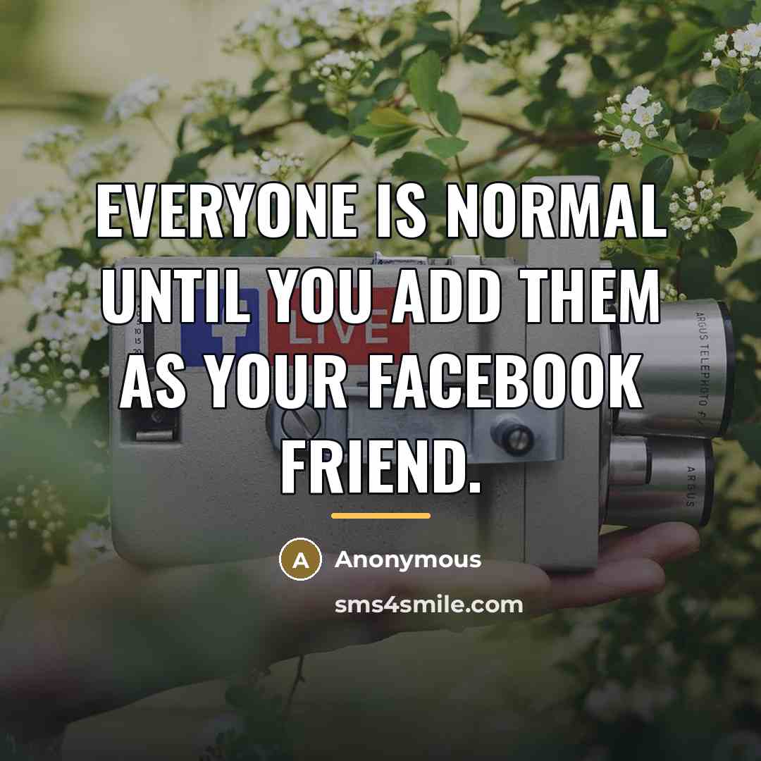 “Everyone Is Normal Until You Add Them As Your Facebook…” quote by Anonymous