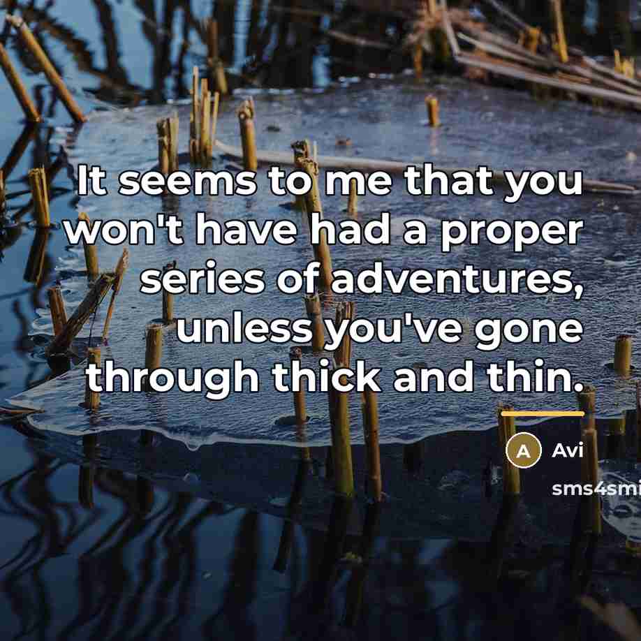 “It seems to me that you won't have had a…” quote by Avi