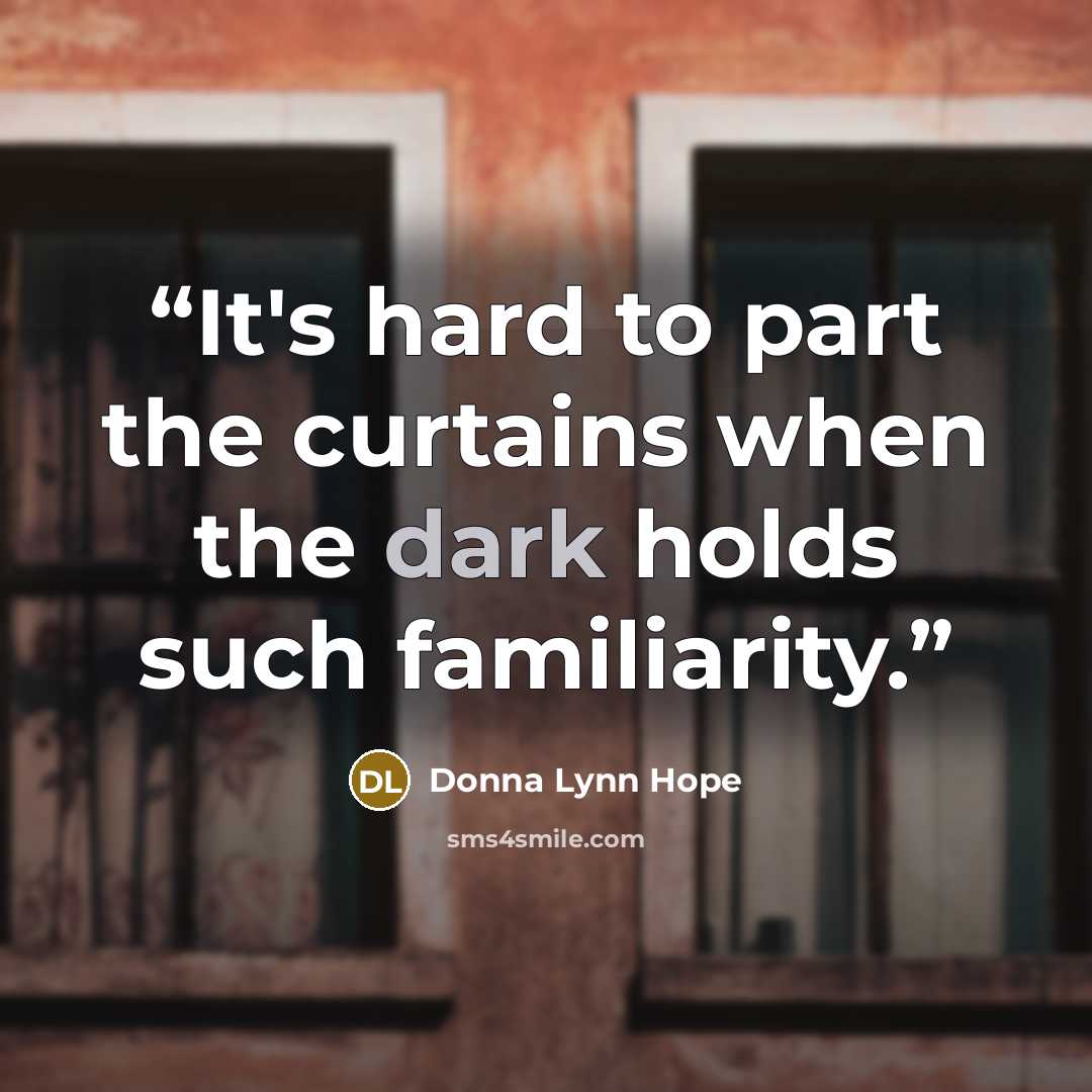 “It's hard to part the curtains when the dark holds such familiarity.” quote by Donna Lynn Hope