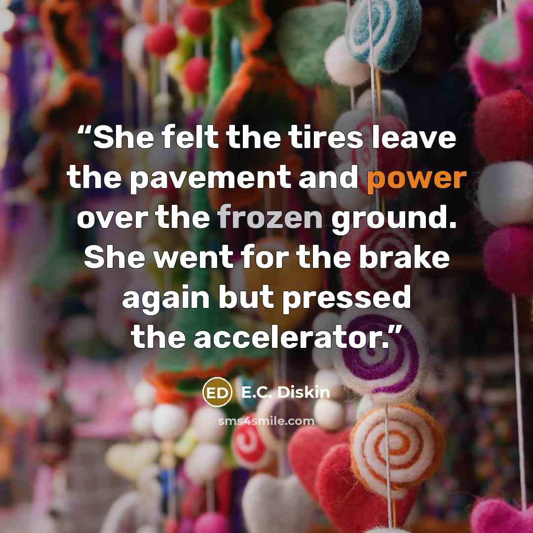 “She felt the tires leave the pavement and power over the frozen ground. She went for the brake again but pressed the accelerator.” quote by E.C. Diskin