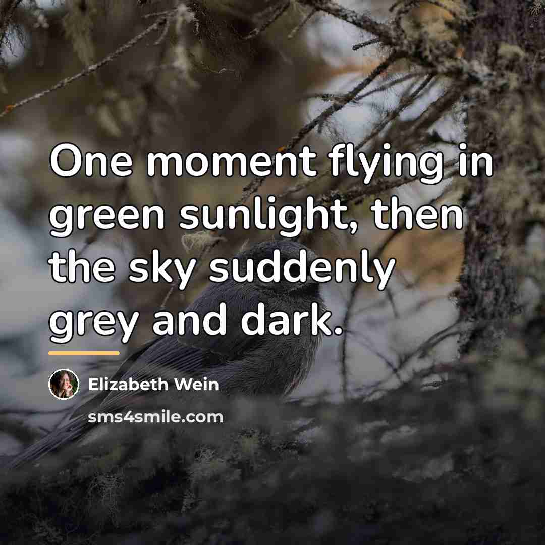 “One moment flying in green sunlight, then the sky suddenly…” quote by Elizabeth Wein