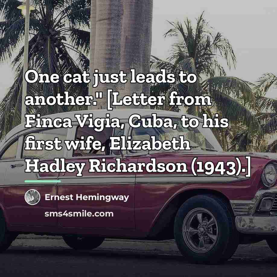 “One cat just leads to another." [Letter from Finca Vigia,…” quote by Ernest Hemingway