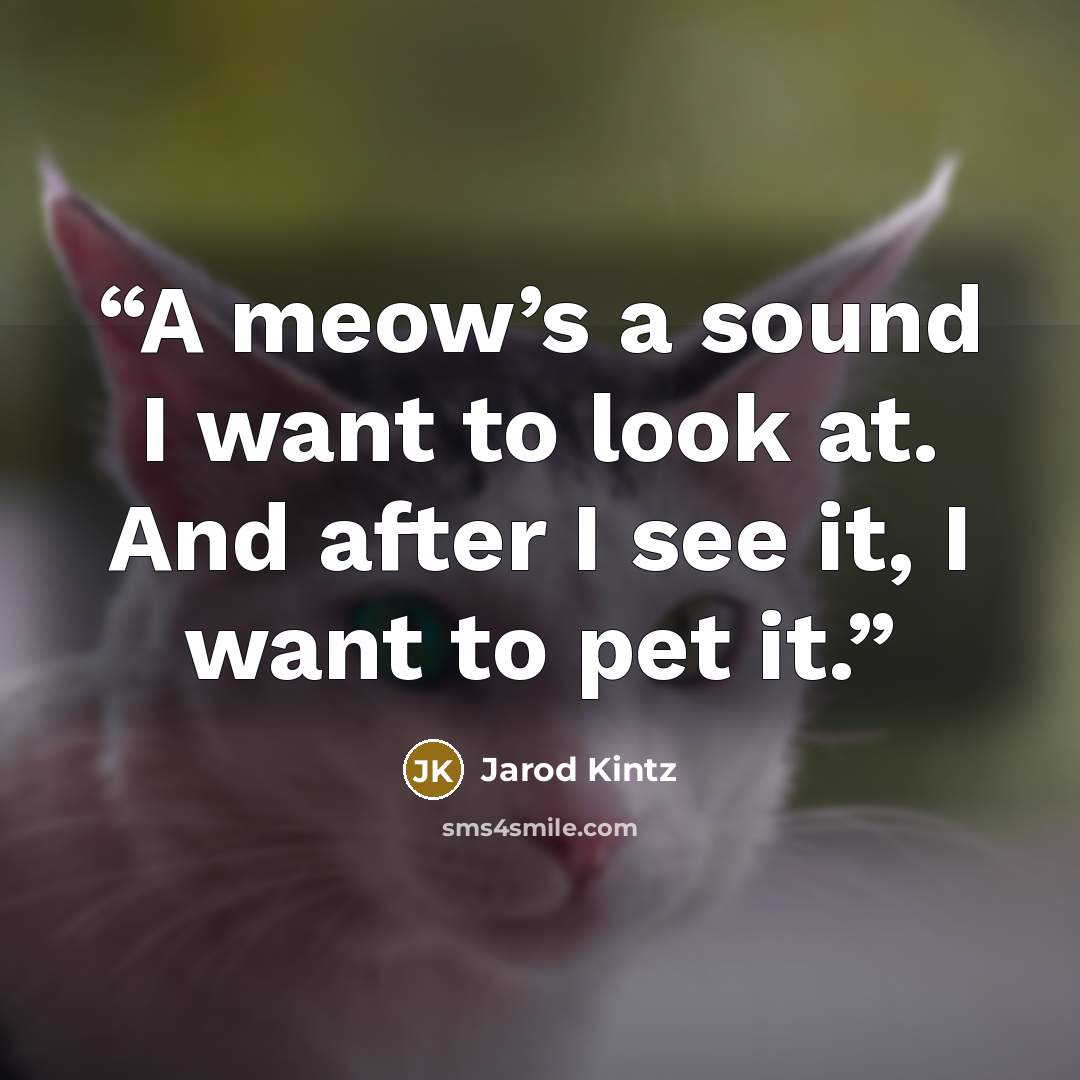 “A meow’s a sound I want to look at. And after I see it, I want to pet it.” quote by Jarod Kintz