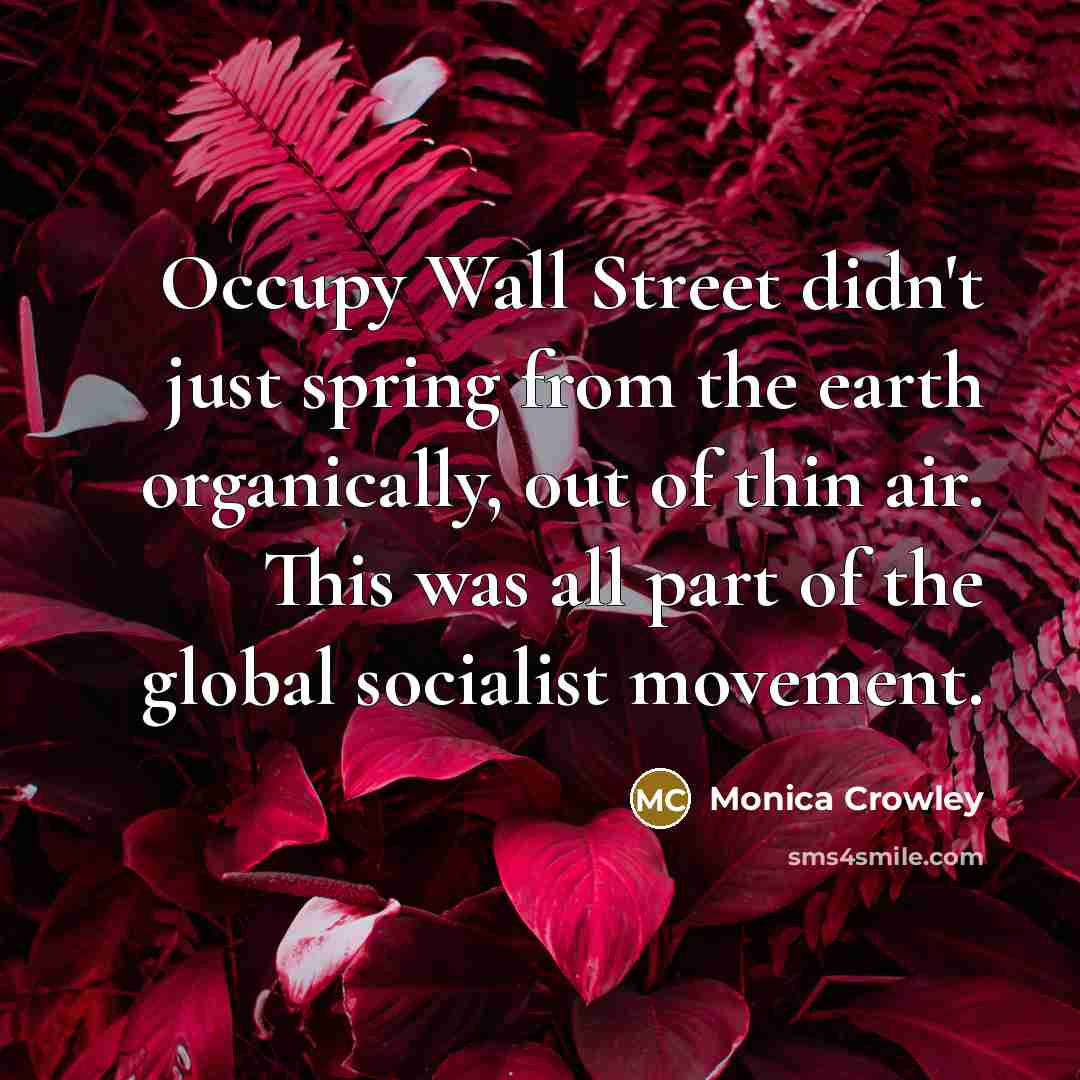 “Occupy Wall Street didn't just spring from the earth organically,…” quote by Monica Crowley