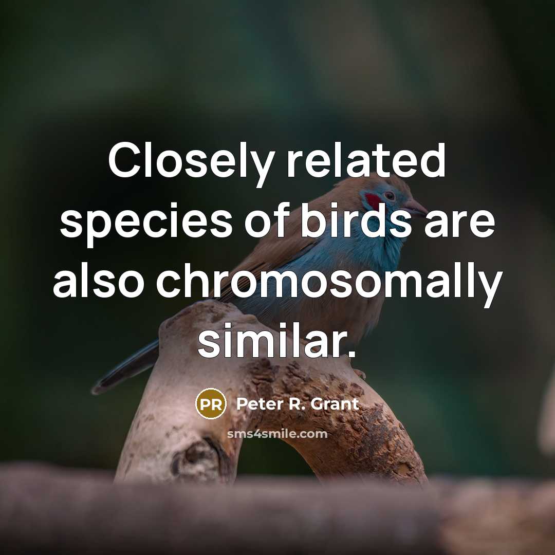 “Closely related species of birds are also chromosomally similar.…” quote by Peter R. Grant