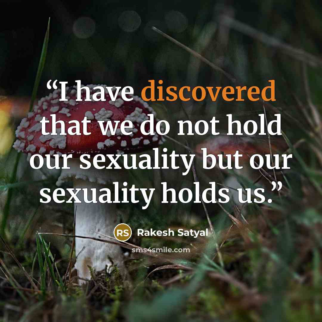 “I have discovered that we do not hold our sexuality but our sexuality holds us.” quote by Rakesh Satyal