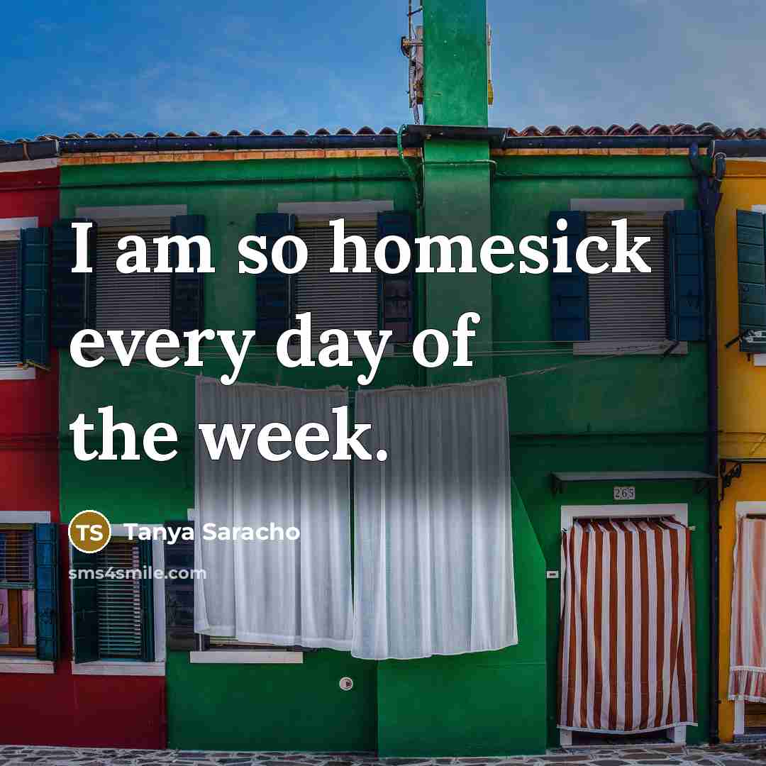“I am so homesick every day of the week.…” quote by Tanya Saracho