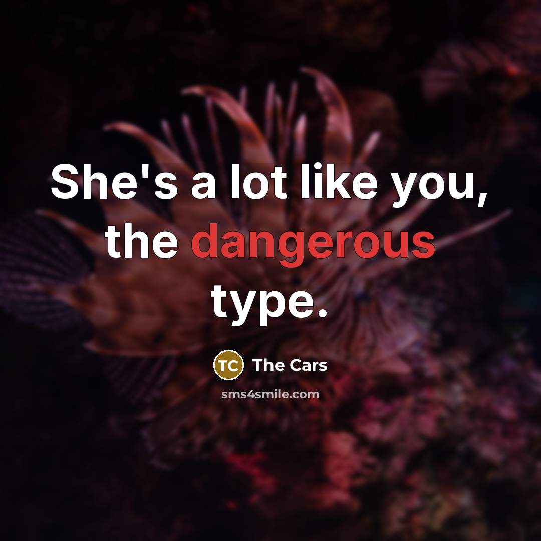 “She's a lot like you, the dangerous type.…” quote by The Cars