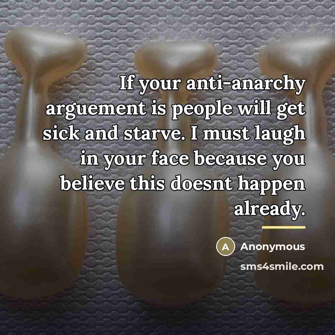 “If your anti-anarchy arguement is people will get sick and…” quote by Anonymous