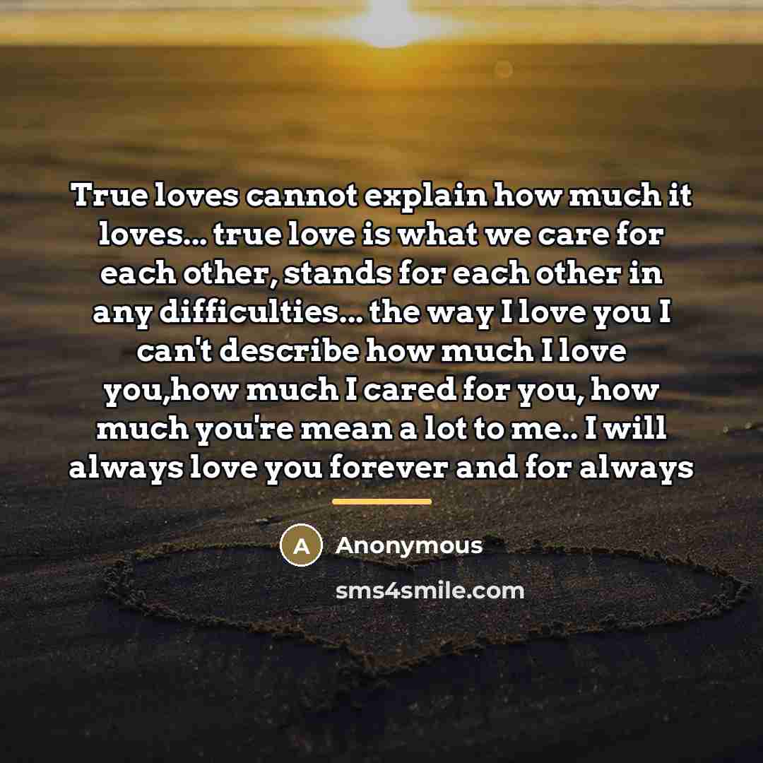 “True loves cannot explain how much it loves... true love…” quote by Anonymous