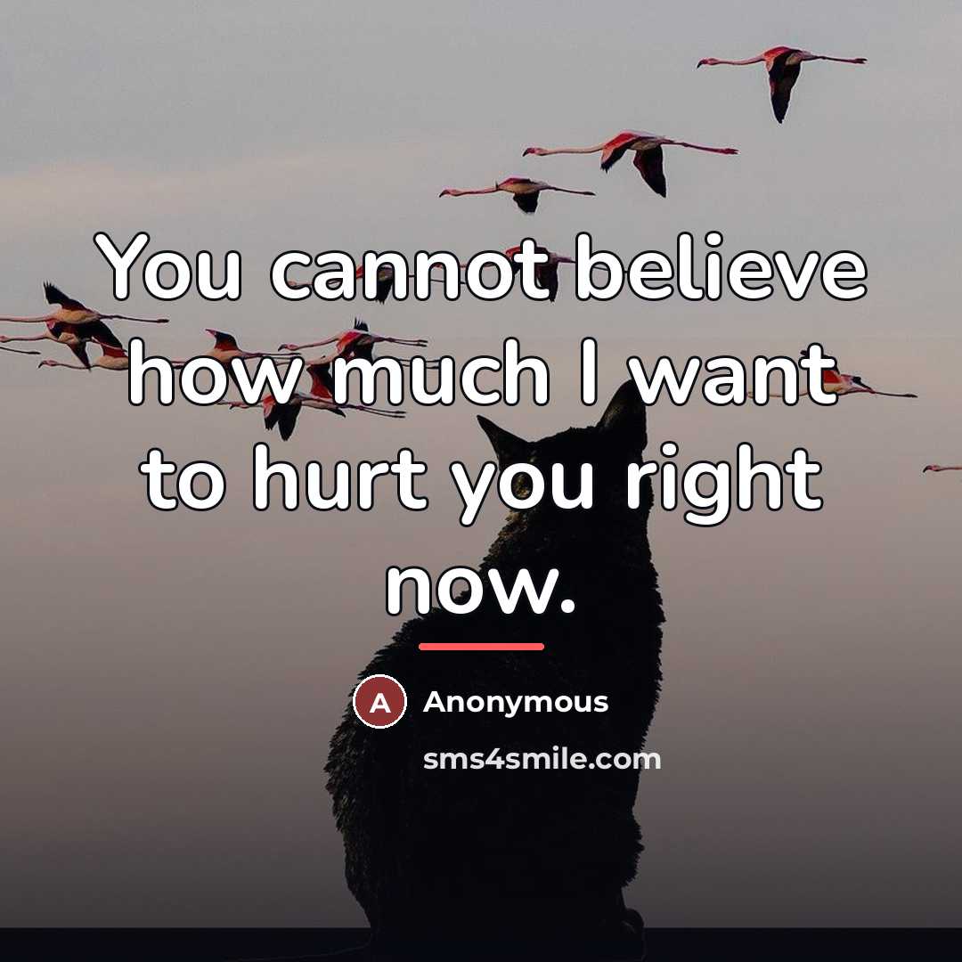 “You cannot believe how much I want to hurt you…” quote by Anonymous