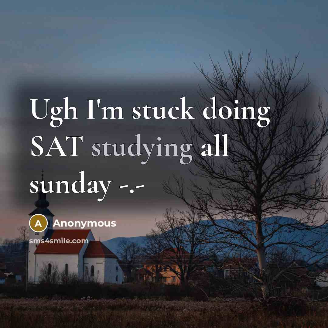 “Ugh I'm stuck doing SAT studying all sunday -.-” quote by Anonymous