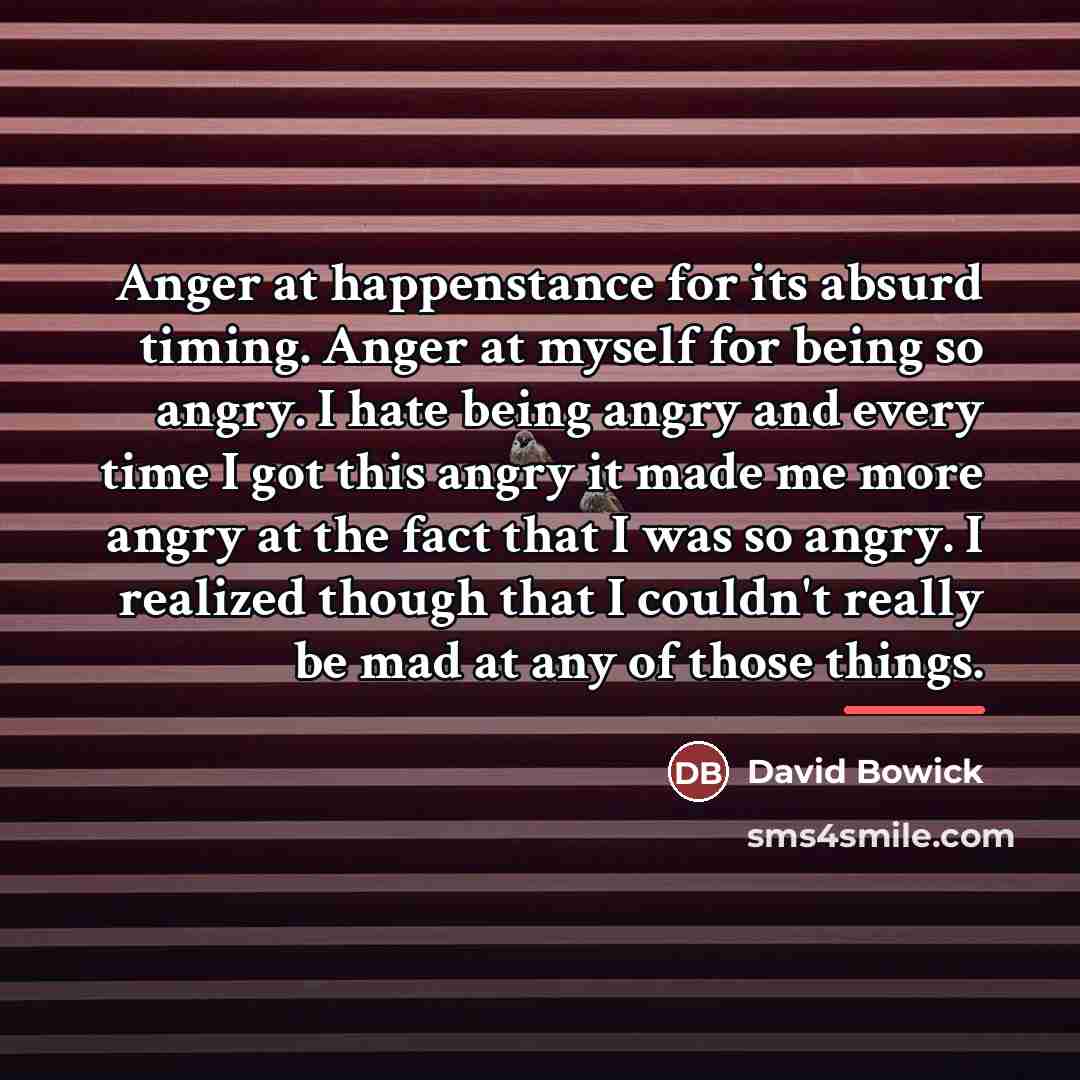 “Anger at happenstance for its absurd timing. Anger at myself…” quote by David Bowick