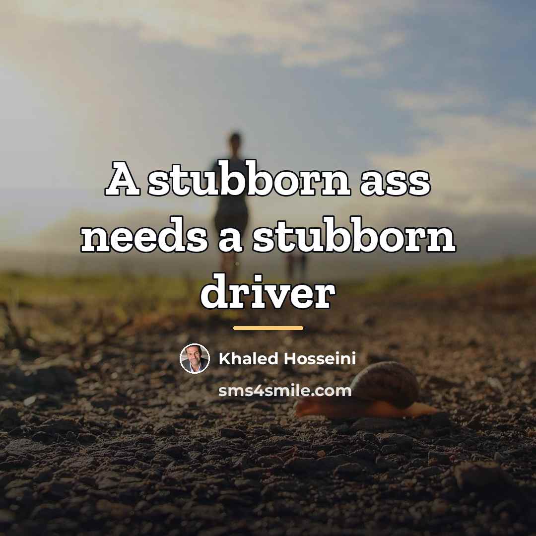 “A stubborn ass needs a stubborn driver…” quote by Khaled Hosseini