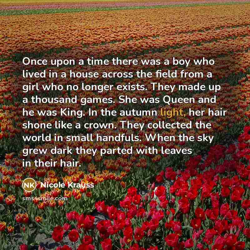 “Once upon a time there was a boy who lived…” quote by Nicole Krauss