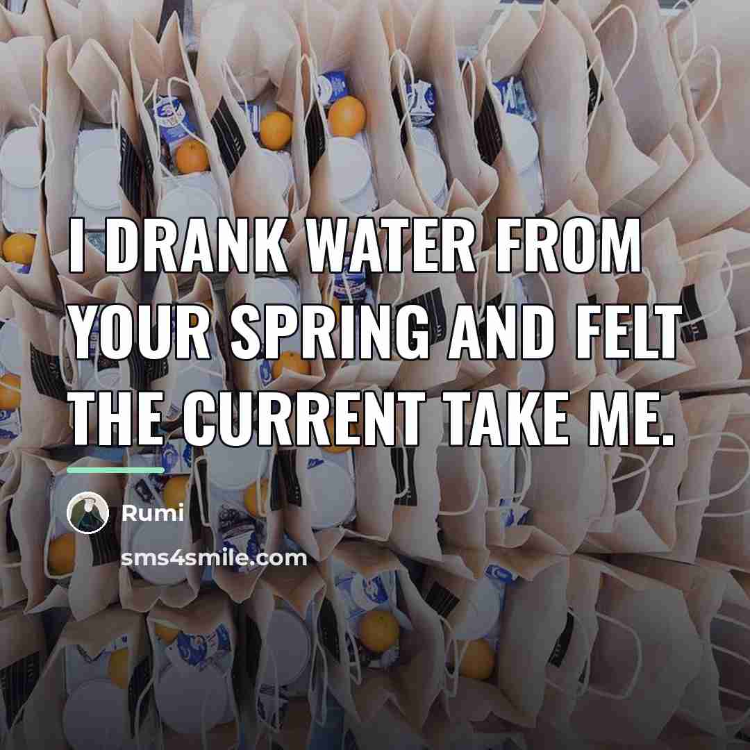 “I drank water from your spring and felt the current…” quote by Rumi