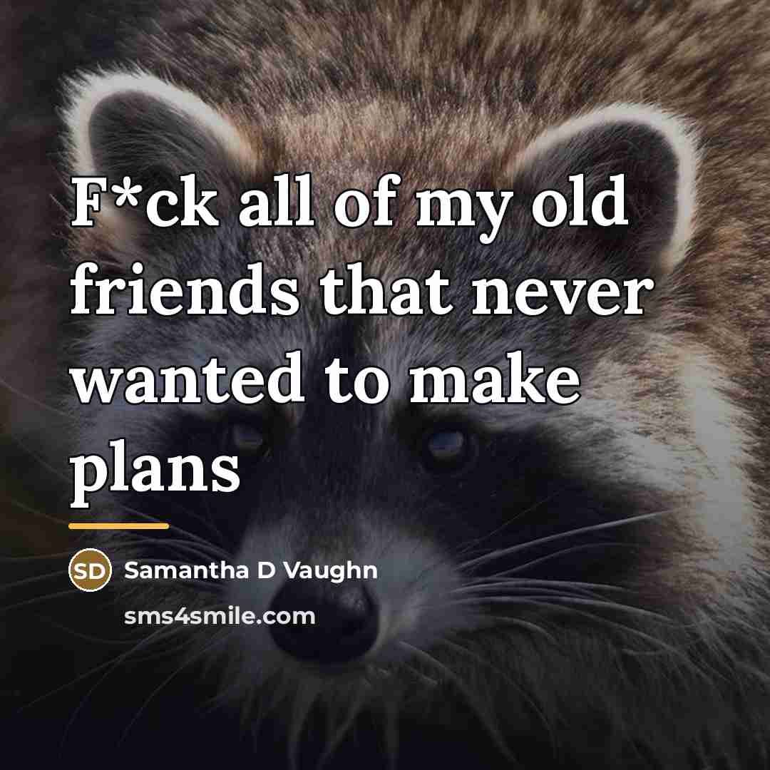 “F*ck all of my old friends that never wanted to…” quote by Samantha D Vaughn