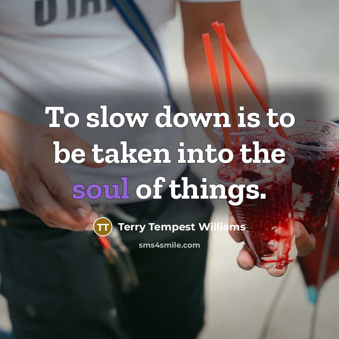 “To slow down is to be taken into the soul…” quote by Terry Tempest Williams