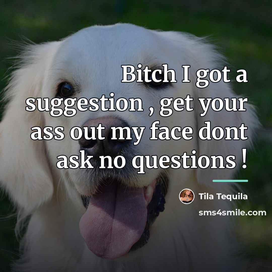 “Bitch I got a suggestion , get your ass out…” quote by Tila Tequila