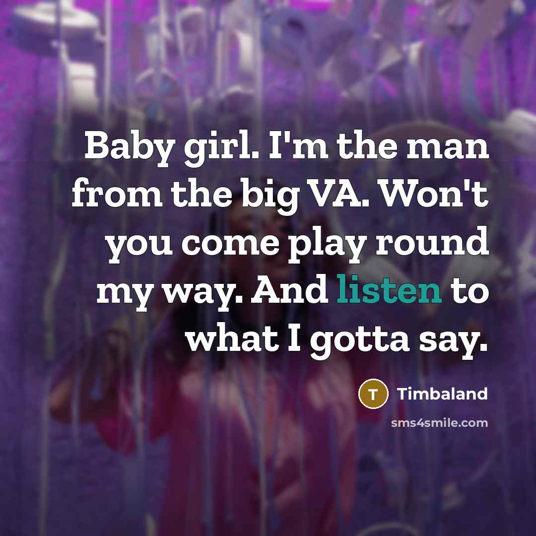 “Baby girl. I'm the man from the big VA. Won't…” quote by Timbaland