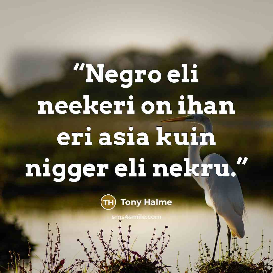 “Negro eli neekeri on ihan eri asia kuin nigger eli nekru.” quote by Tony Halme
