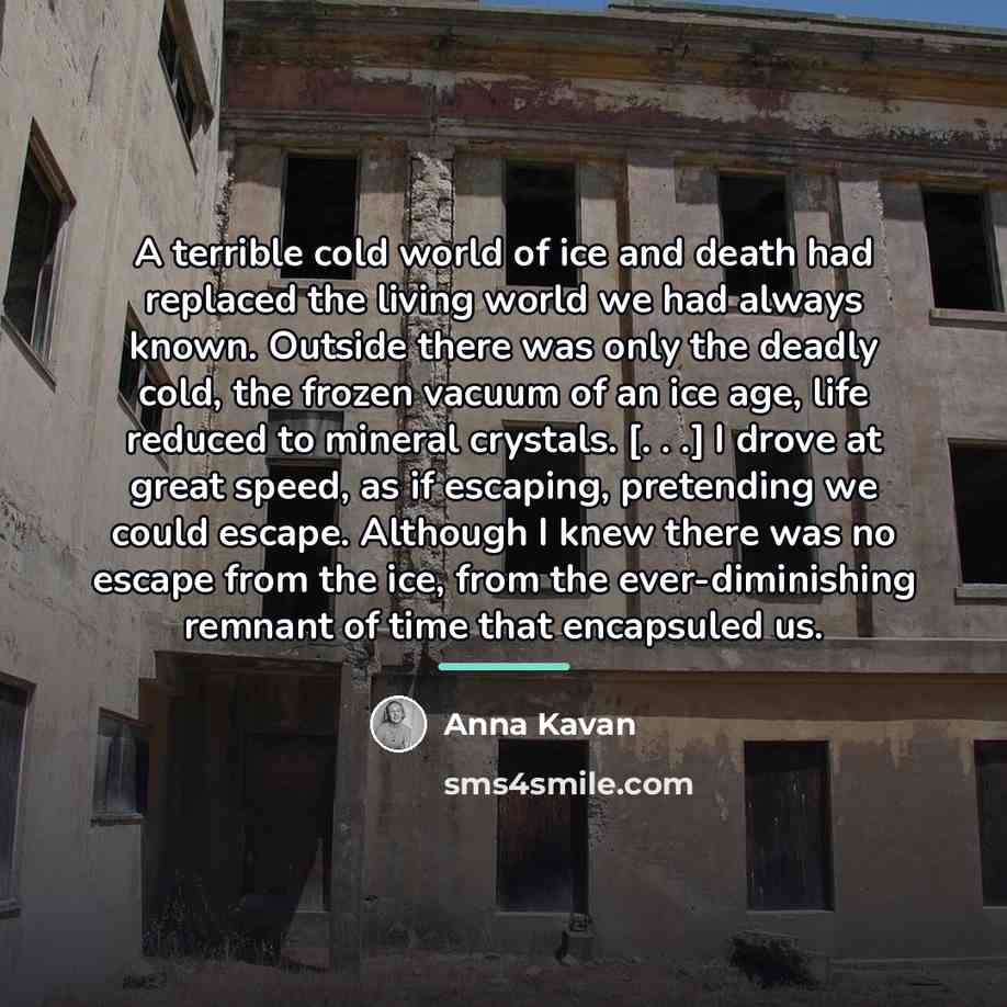 “A terrible cold world of ice and death had replaced…” quote by Anna Kavan