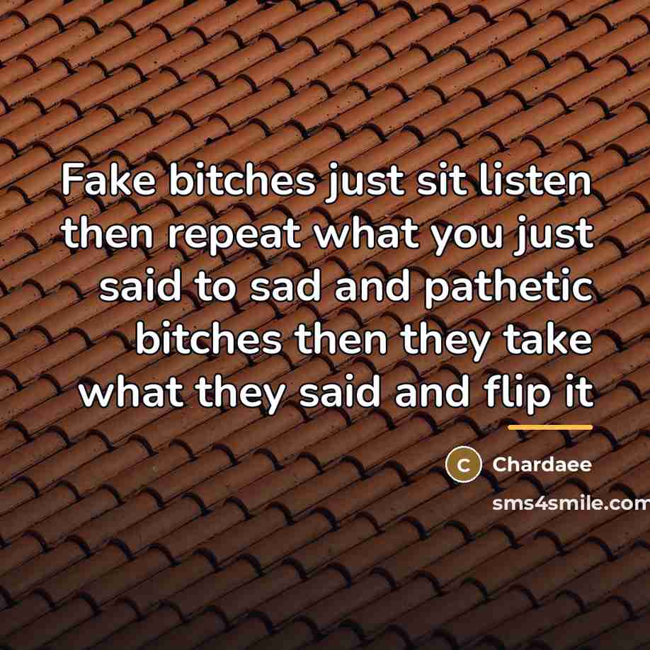 “Fake bitches just sit listen then repeat what you just…” quote by Chardaee