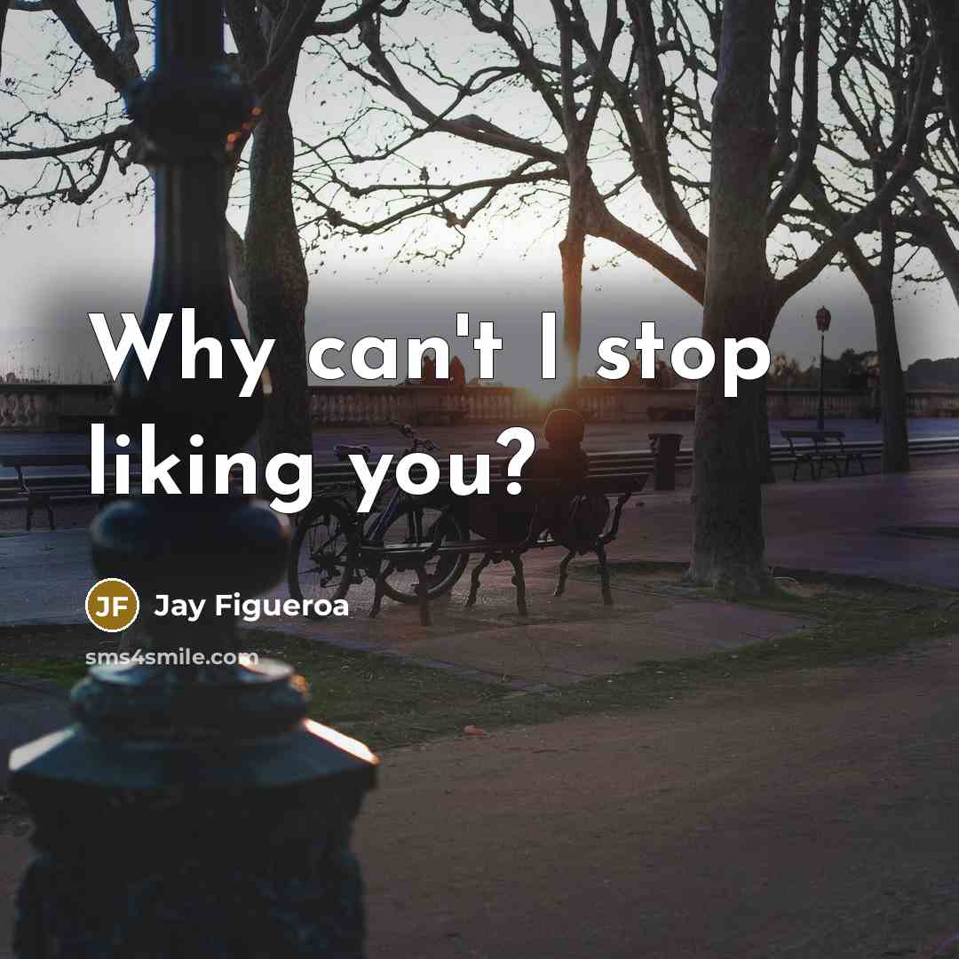 “Why can't I stop liking you?” quote by Jay Figueroa