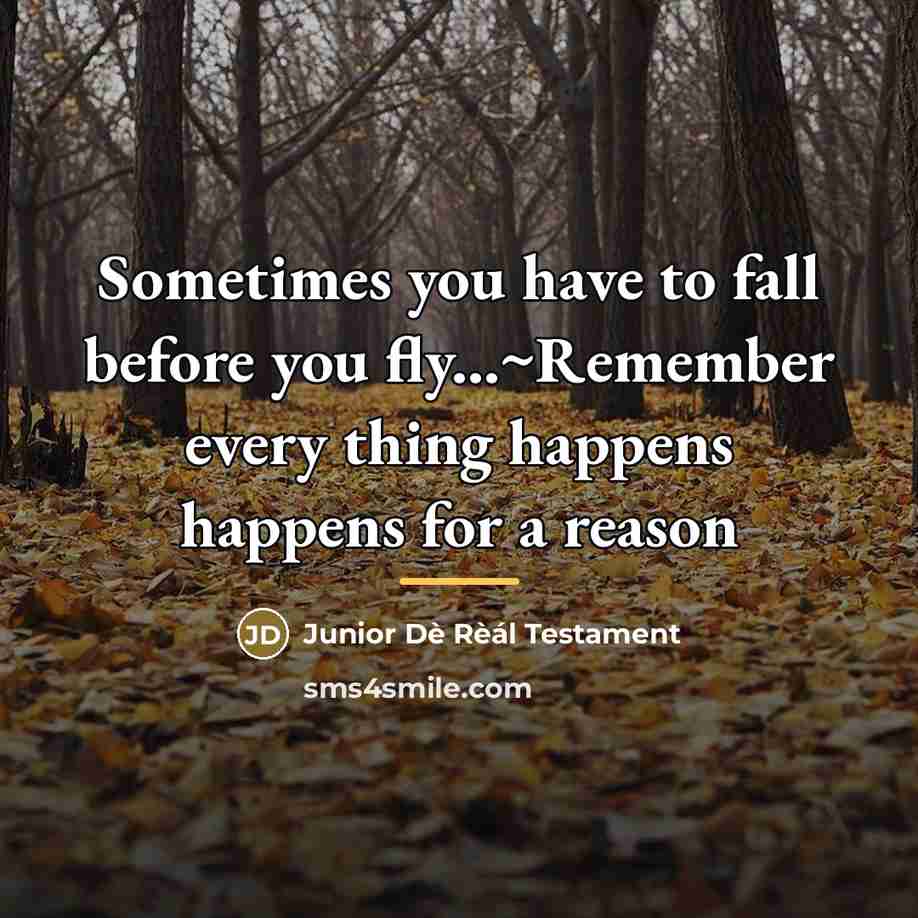 “Sometimes you have to fall before you fly...~Remember every thing…” quote by Junior Dè Rèál Testament