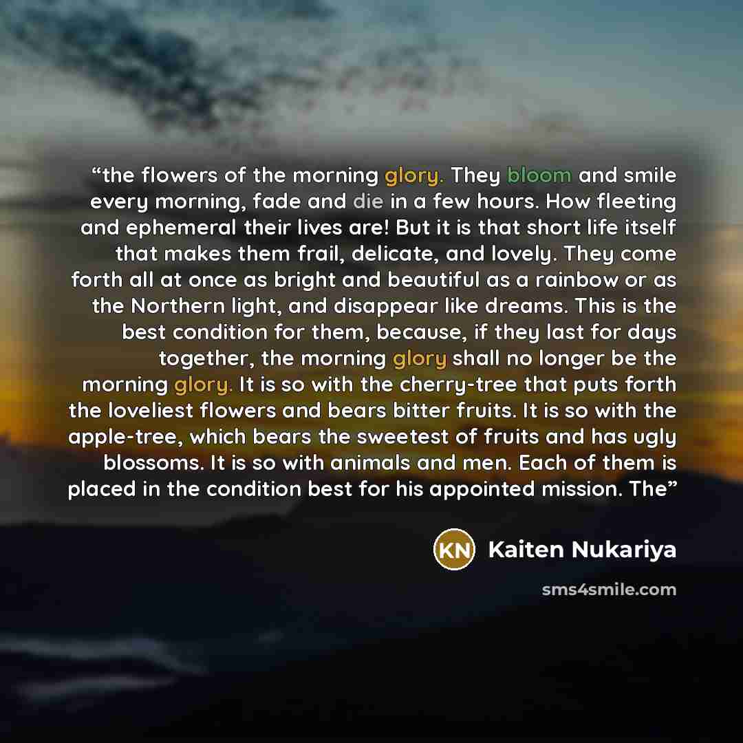 “the flowers of the morning glory. They bloom and smile every morning, fade and die in a few hours. How fleeting and ephemeral their lives are! But it is that short life itself that makes them frail, delicate, and lovely. They come forth all at once as bright and beautiful as a rainbow or as the…” quote by Kaiten Nukariya