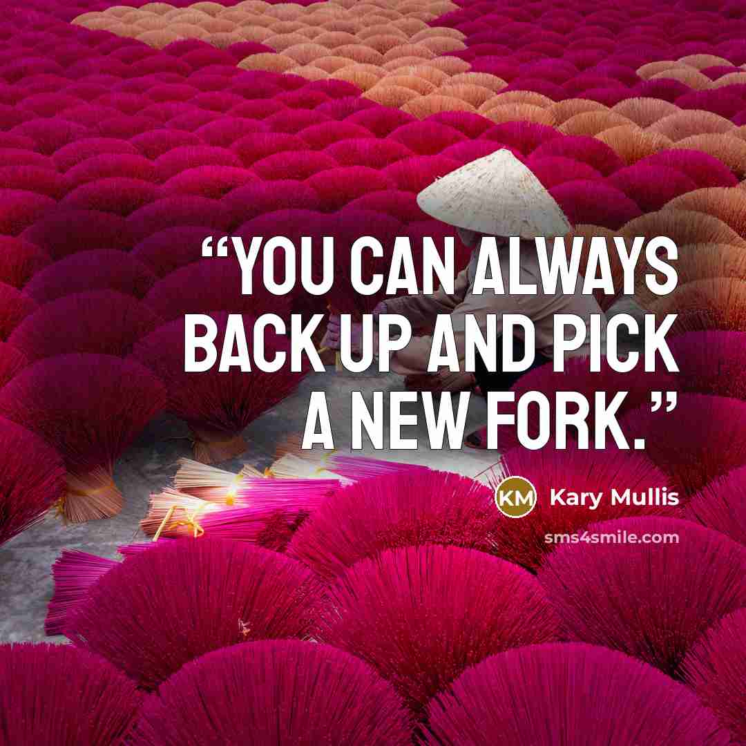 “You can always back up and pick a new fork.” quote by Kary Mullis